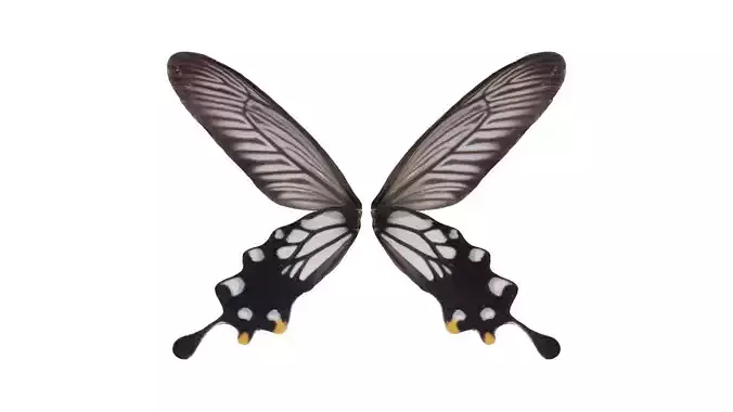 Common Mime Papilio Polytes Low-poly 3D model