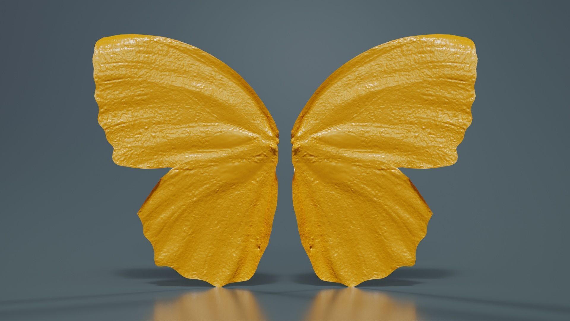 Common Palmfly Low-poly 3D model_13