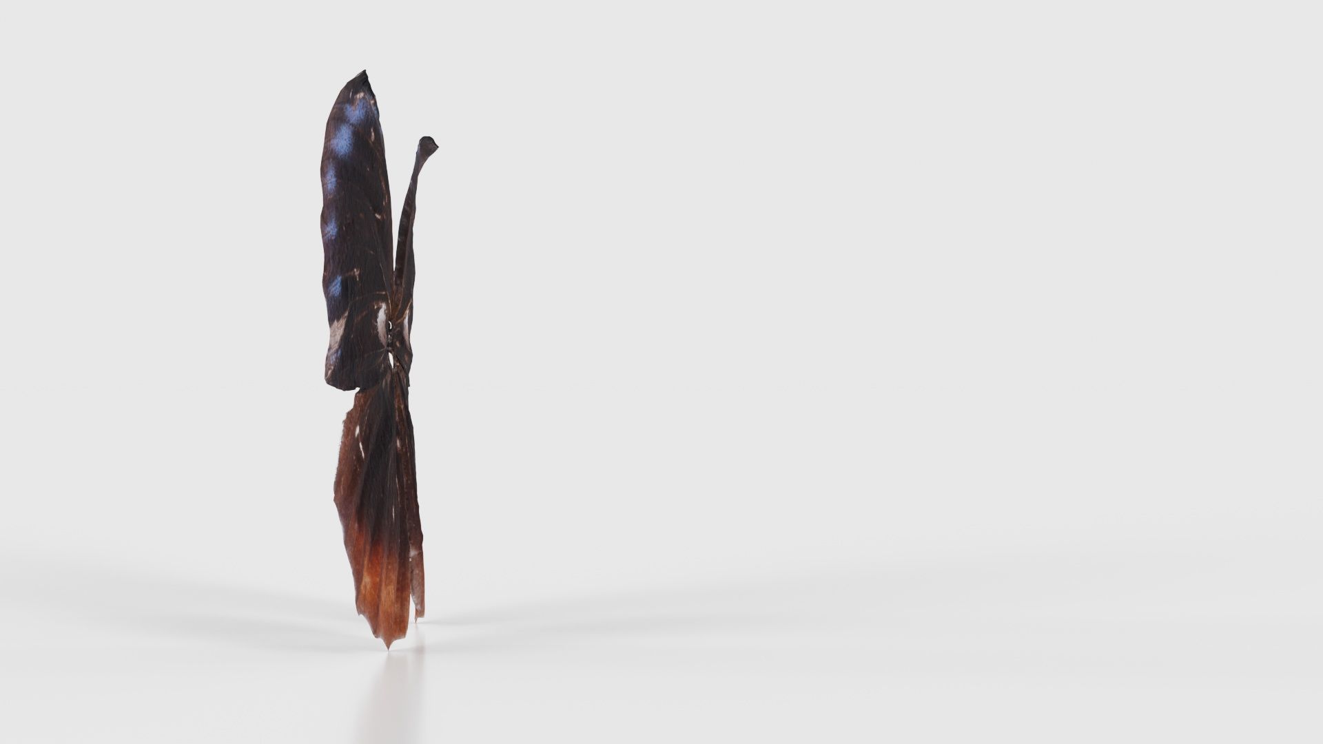 Common Palmfly Low-poly 3D model_18