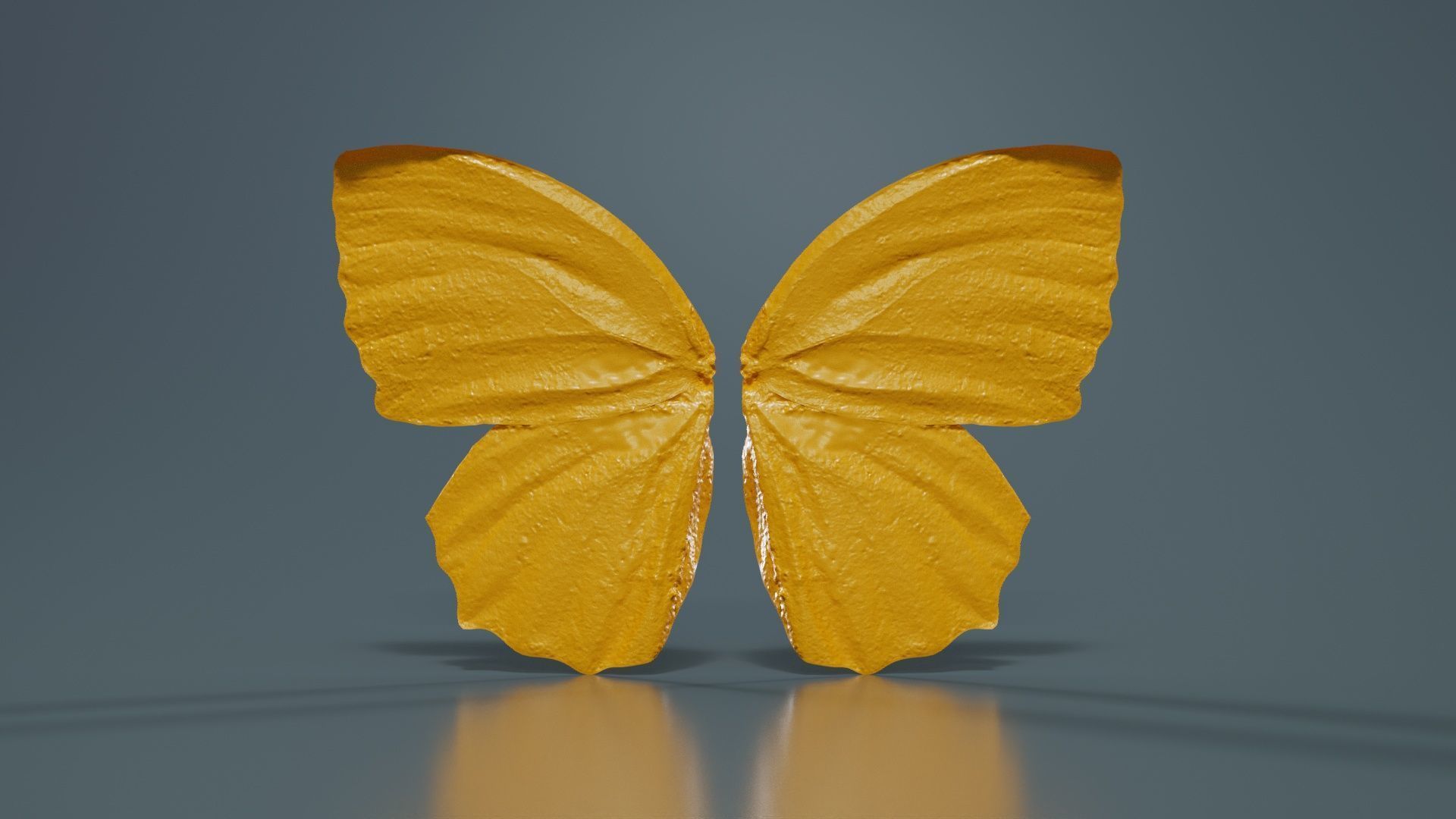 Common Palmfly Low-poly 3D model_12