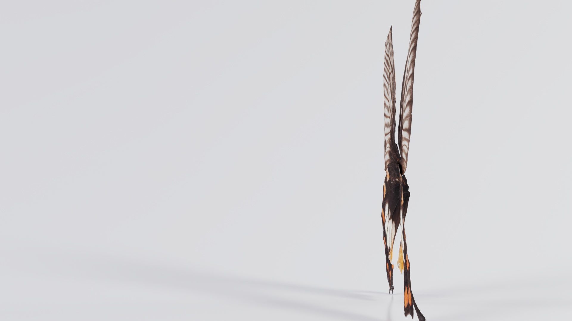 Common Rose Low-poly 3D model_6