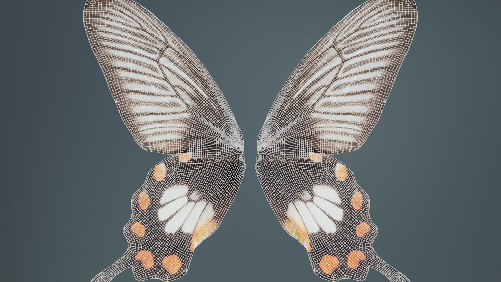 Common Rose Low-poly 3D model_10