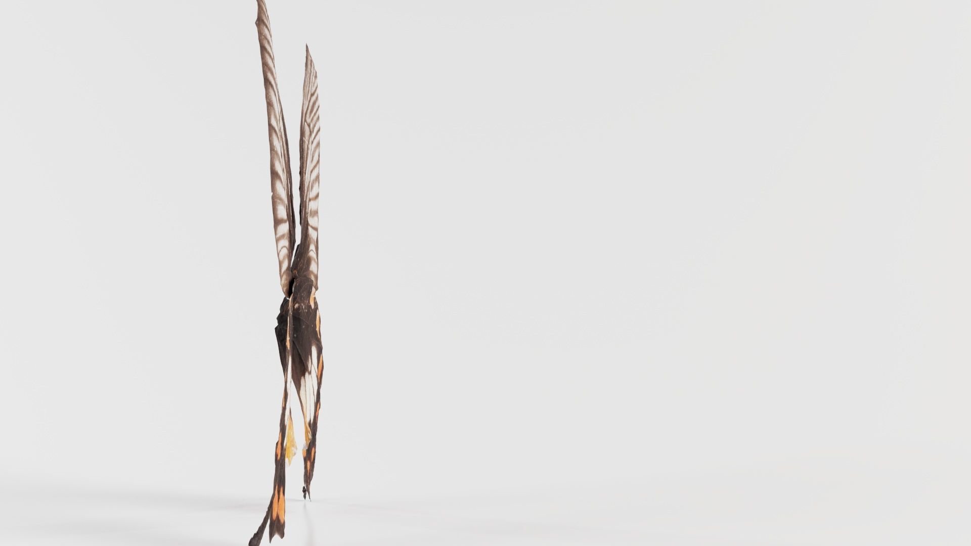 Common Rose Low-poly 3D model_8