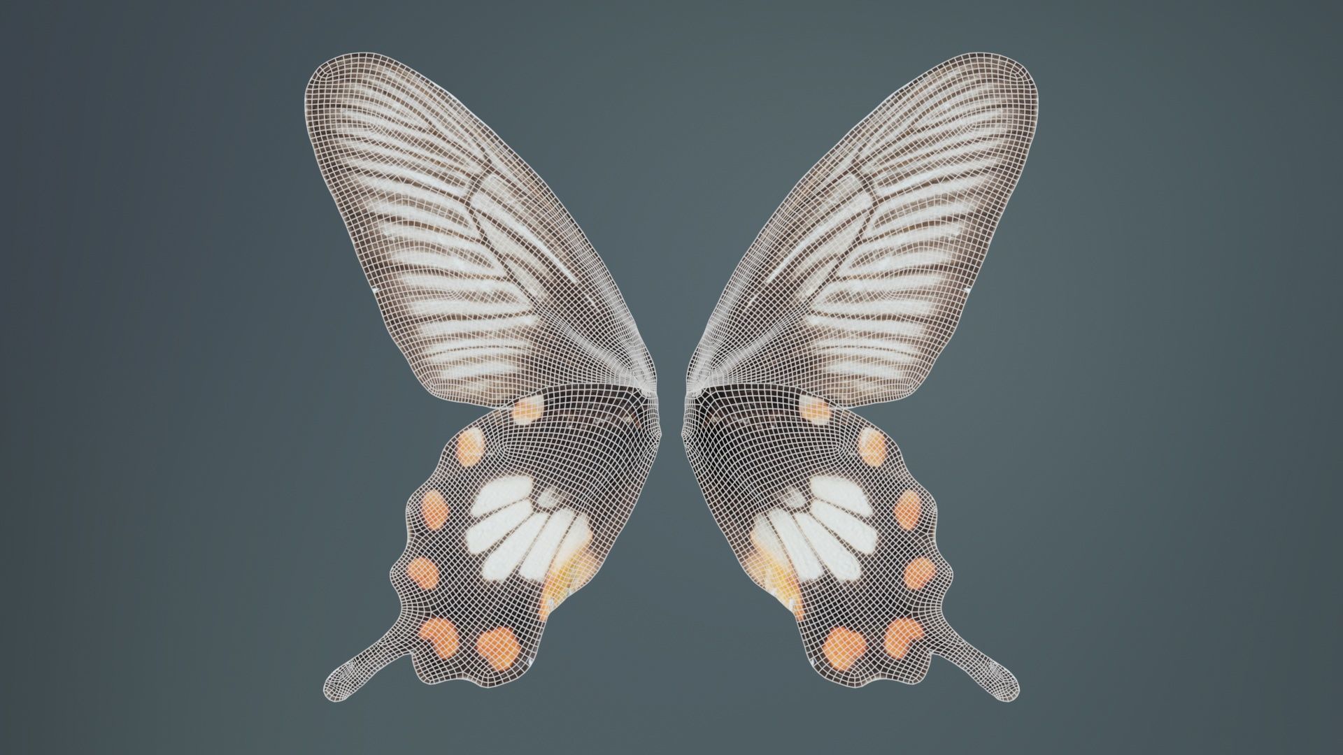 Common Rose Low-poly 3D model_9