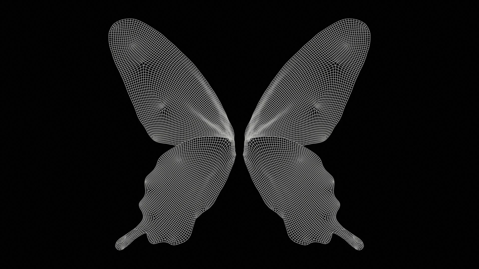 Common Rose Low-poly 3D model_11