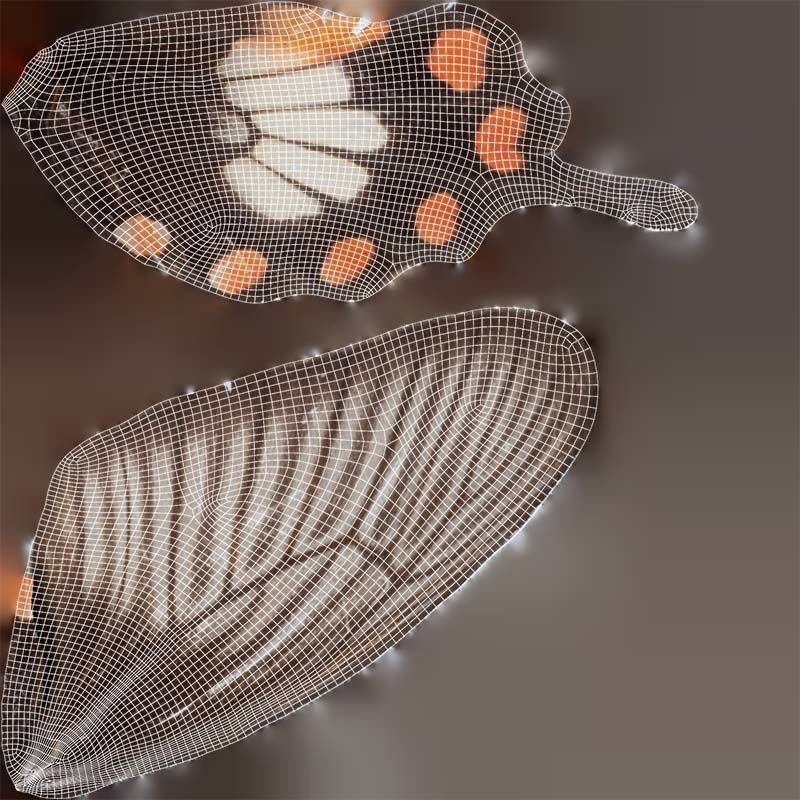 Common Rose Low-poly 3D model_14