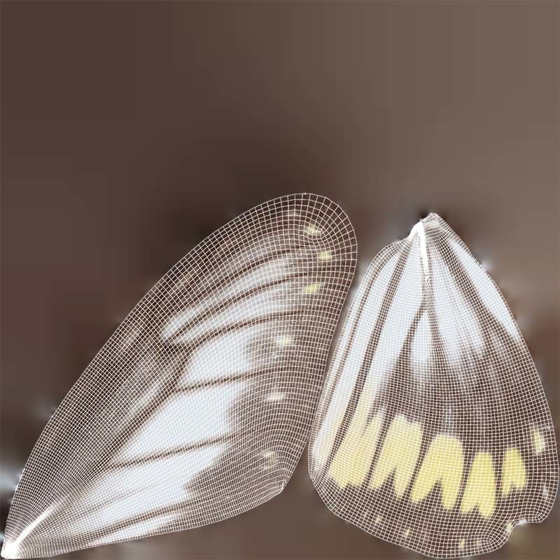 Common Rose Cethosia Biblis Low-poly 3D model_14