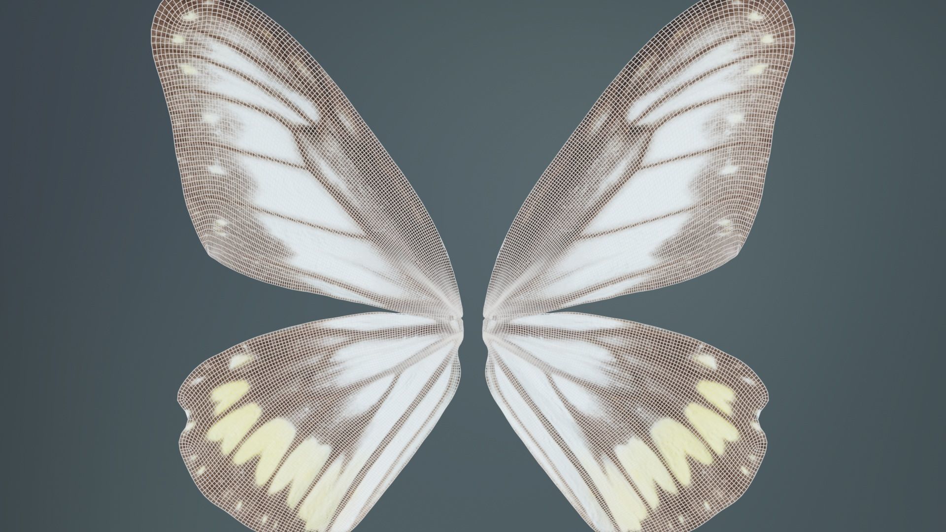 Common Rose Cethosia Biblis Low-poly 3D model_10