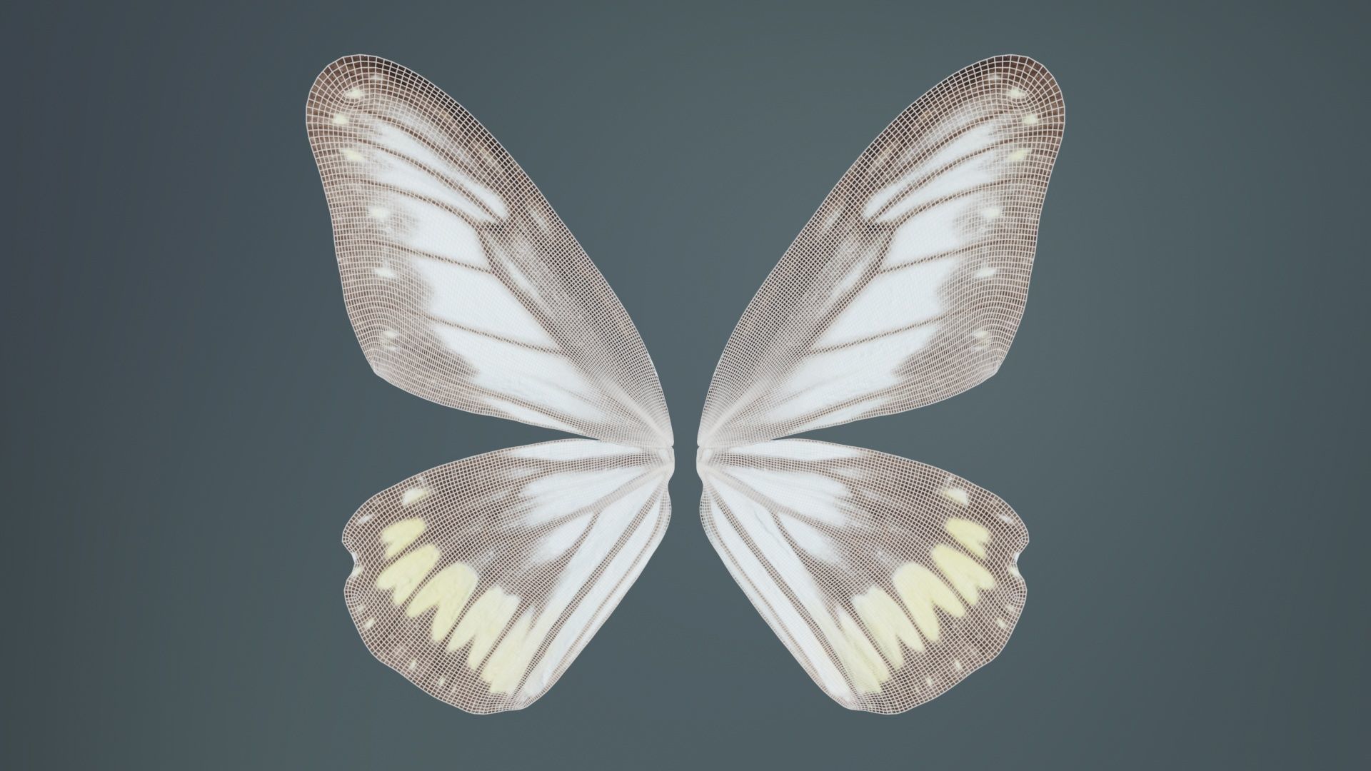 Common Rose Cethosia Biblis Low-poly 3D model_9