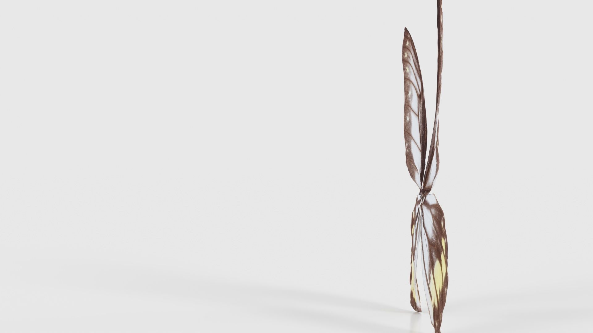 Common Rose Cethosia Biblis Low-poly 3D model_24