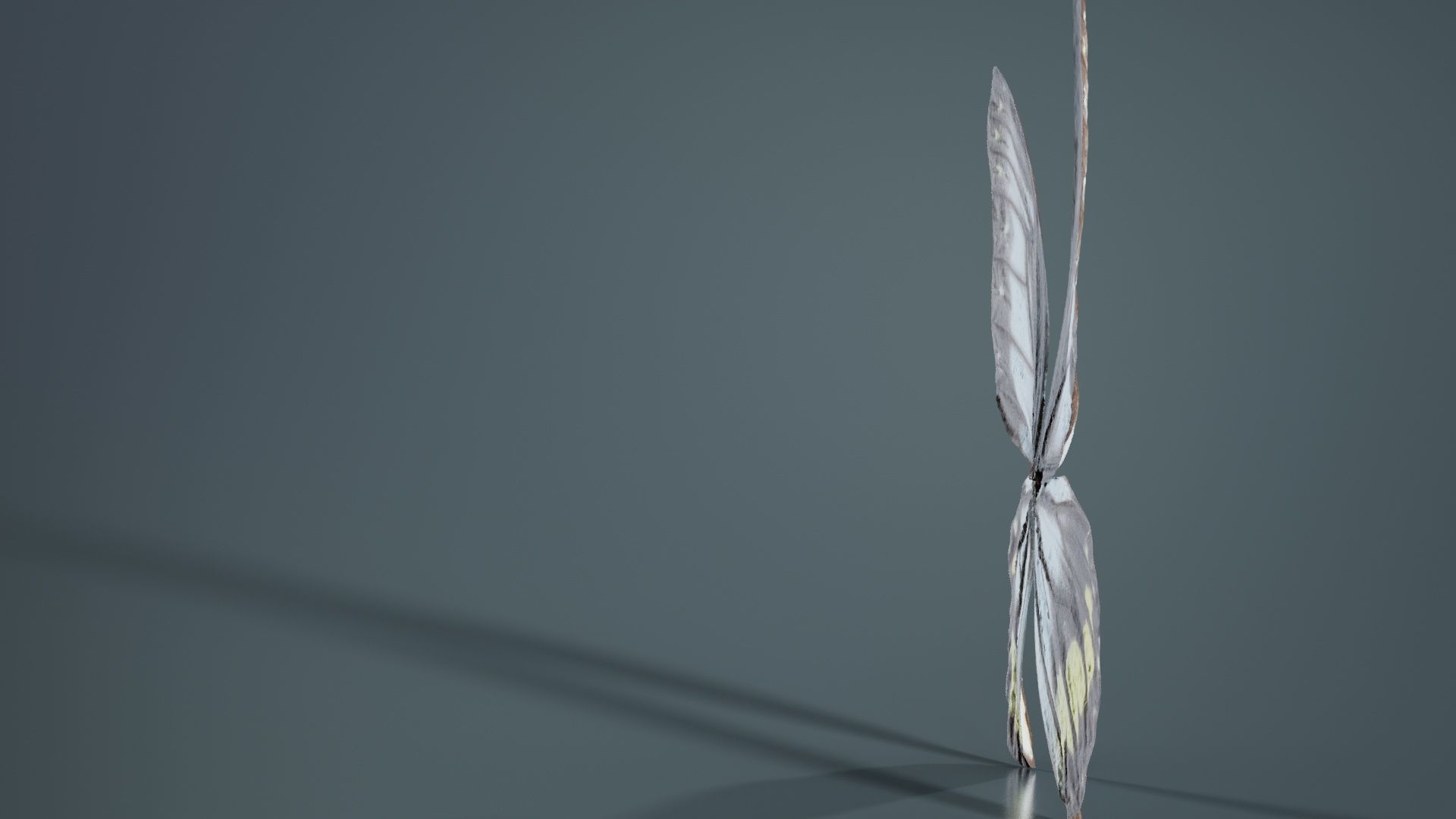 Common Rose Cethosia Biblis Low-poly 3D model_4