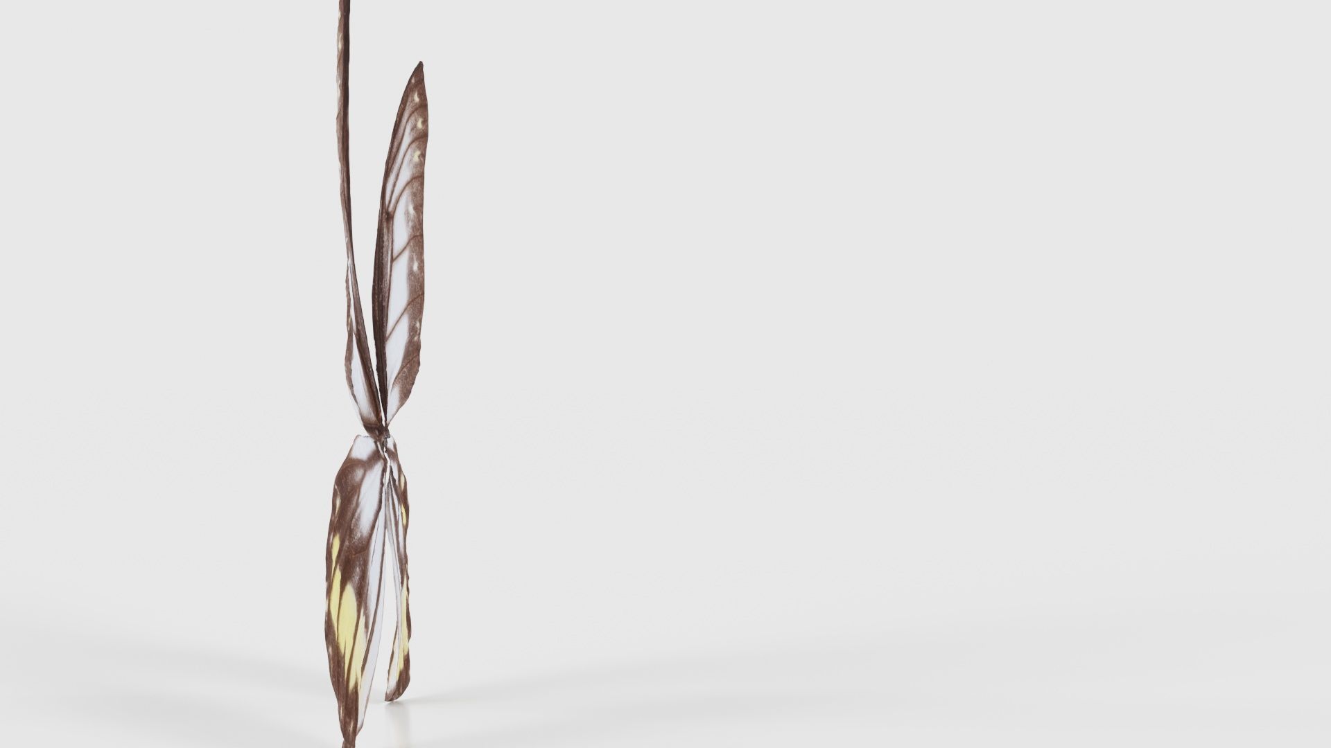 Common Rose Cethosia Biblis Low-poly 3D model_18