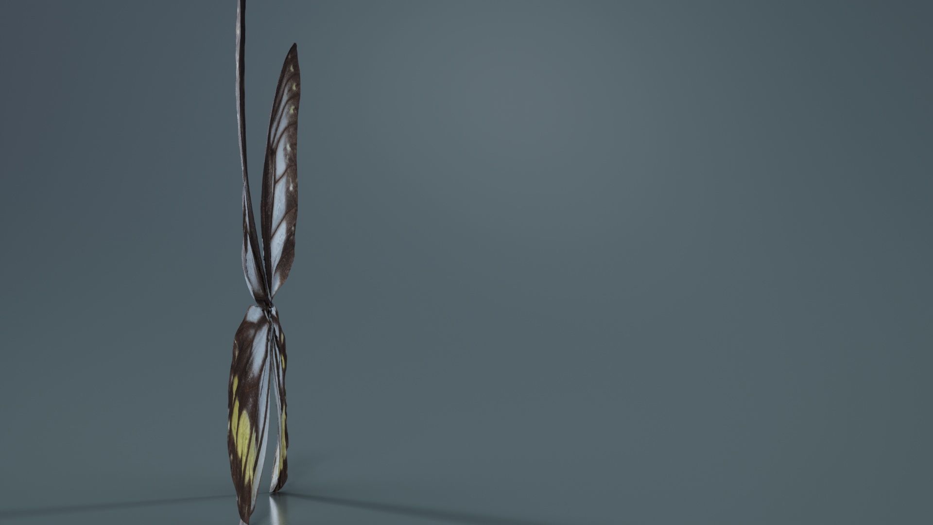 Common Rose Cethosia Biblis Low-poly 3D model_5