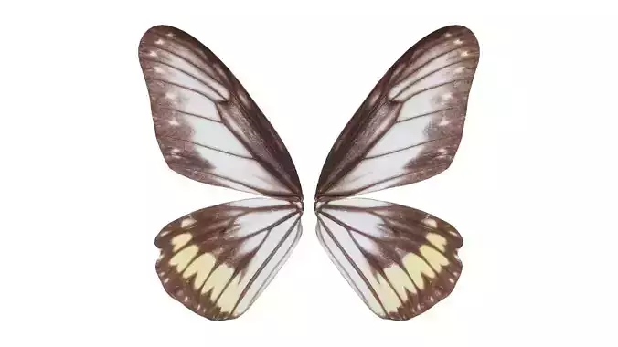 Common Rose Cethosia Biblis Low-poly 3D model