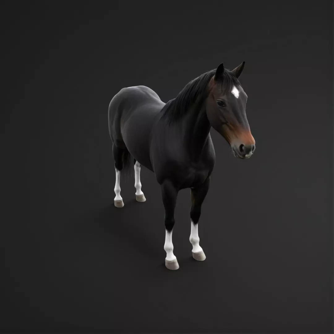 Horse Animal 3D print model_0