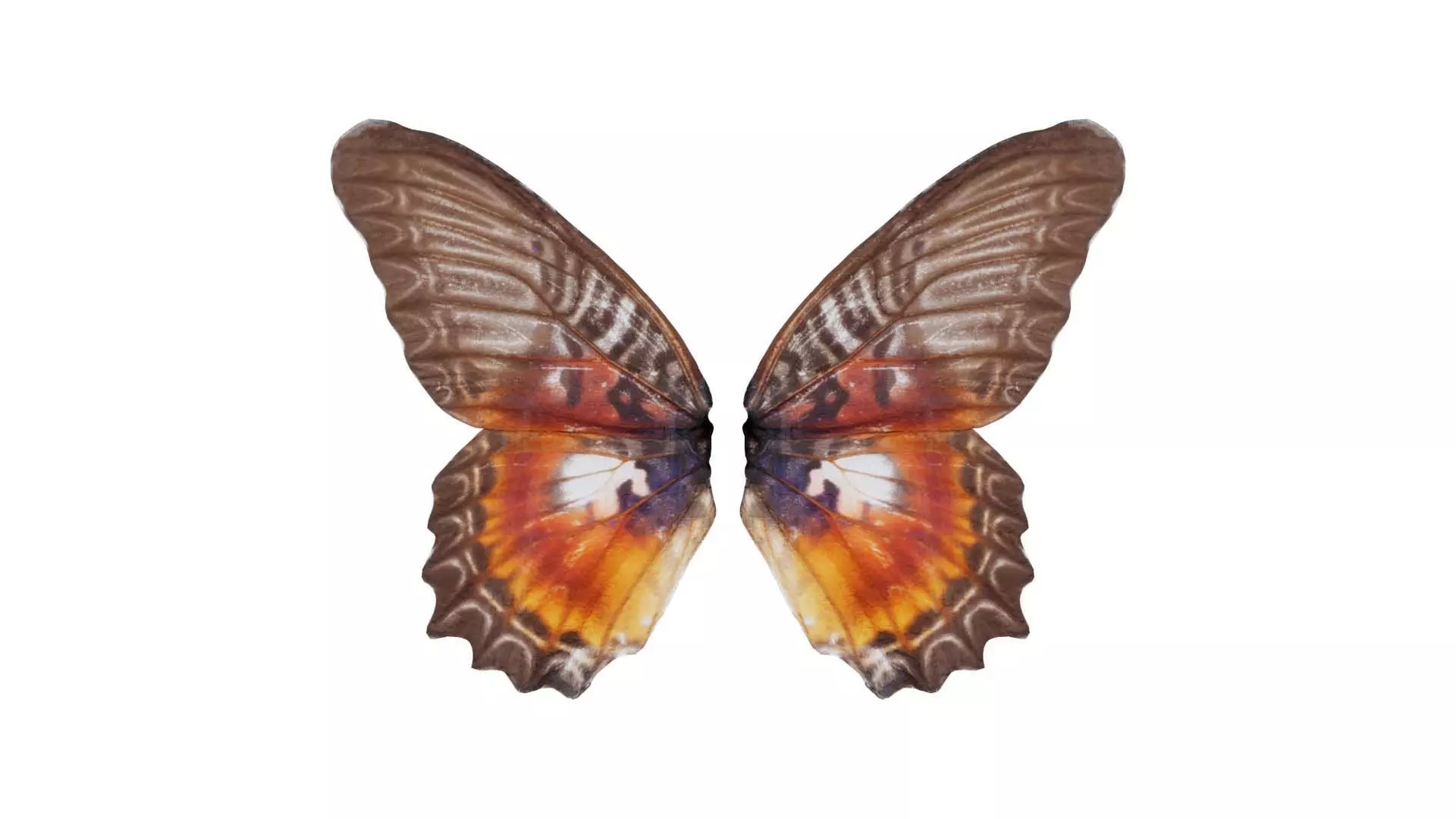 Common Rose Cethosia Biblis 2 Low-poly 3D model