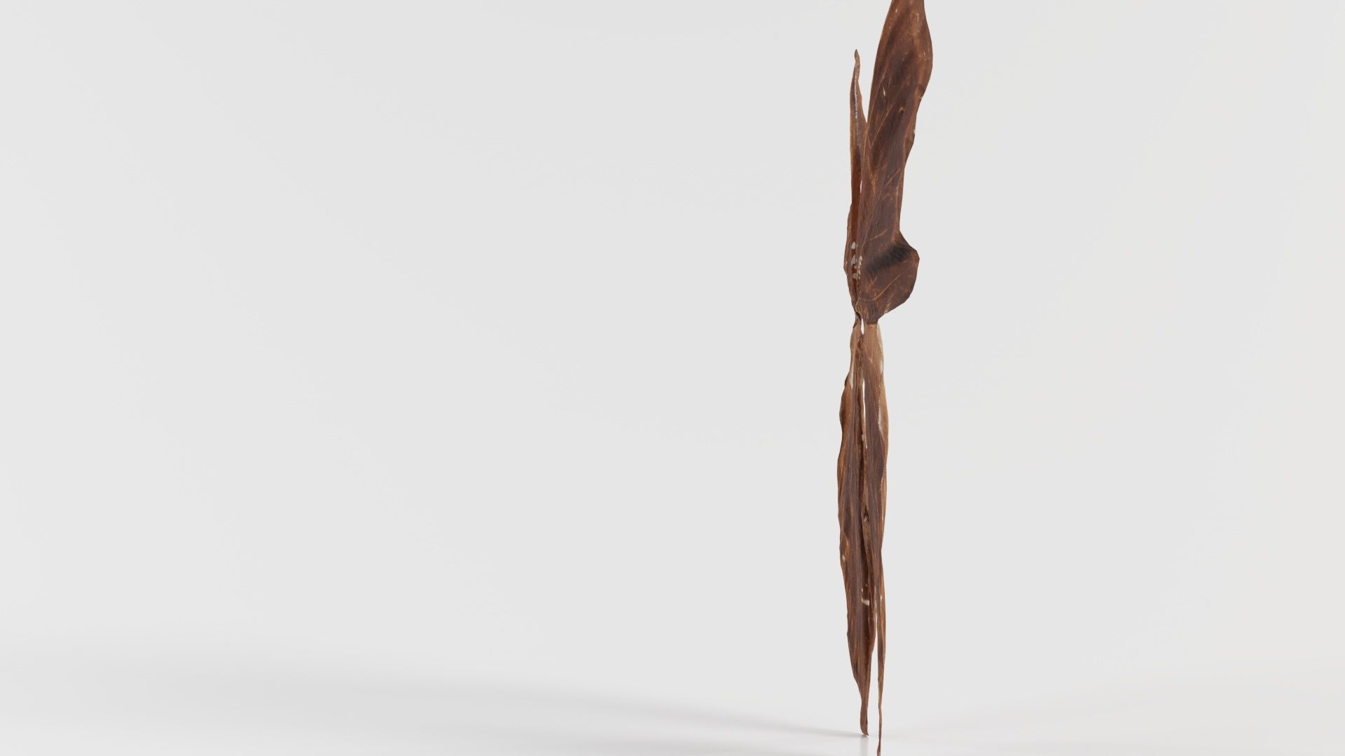 Common Rose Cethosia Biblis 3 Low-poly 3D model_4