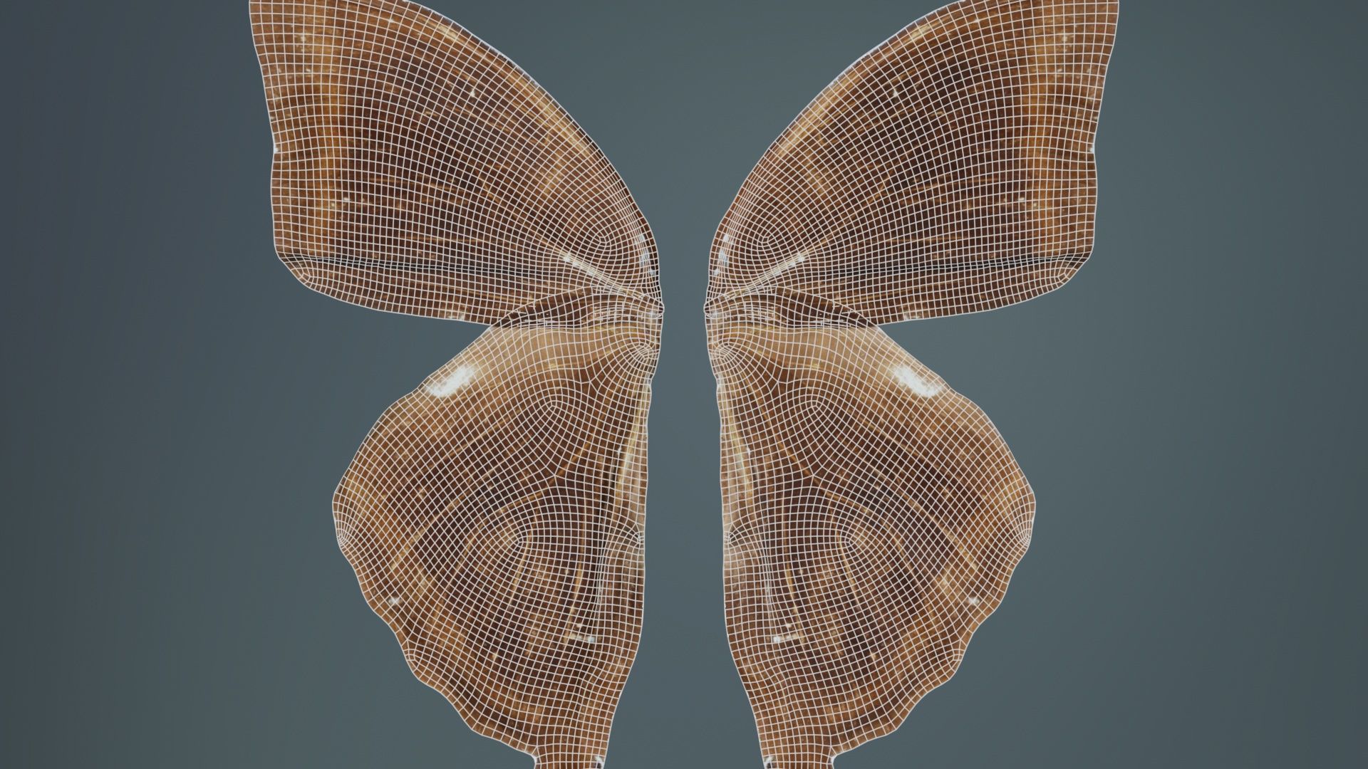 Common Rose Cethosia Biblis 3 Low-poly 3D model_10