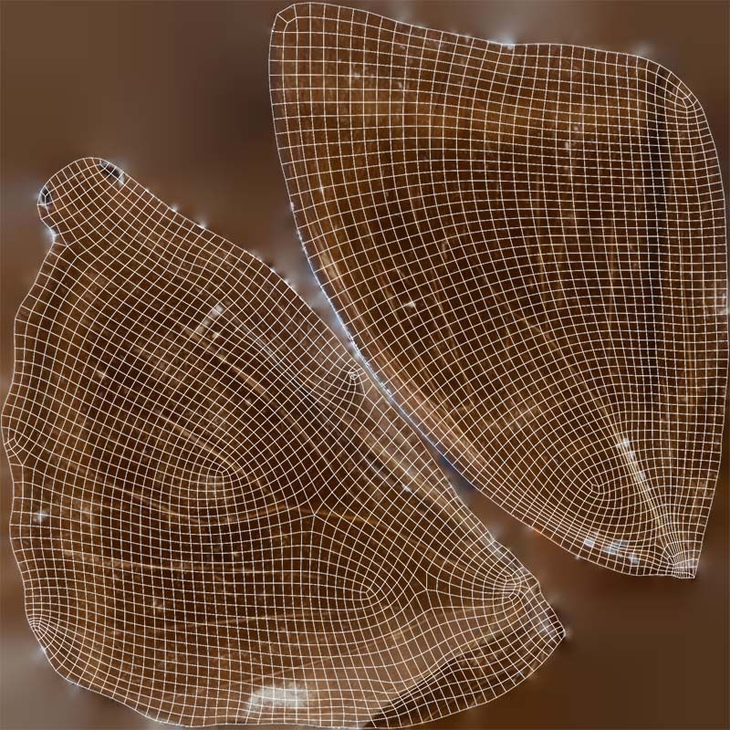 Common Rose Cethosia Biblis 3 Low-poly 3D model_14