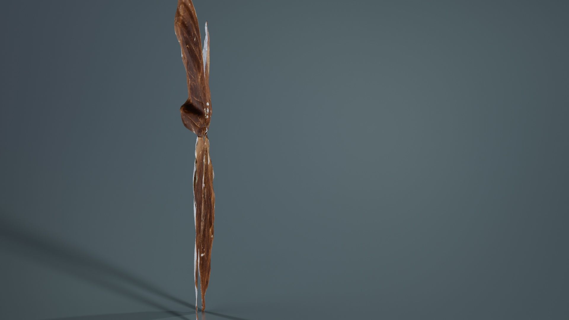 Common Rose Cethosia Biblis 3 Low-poly 3D model_7