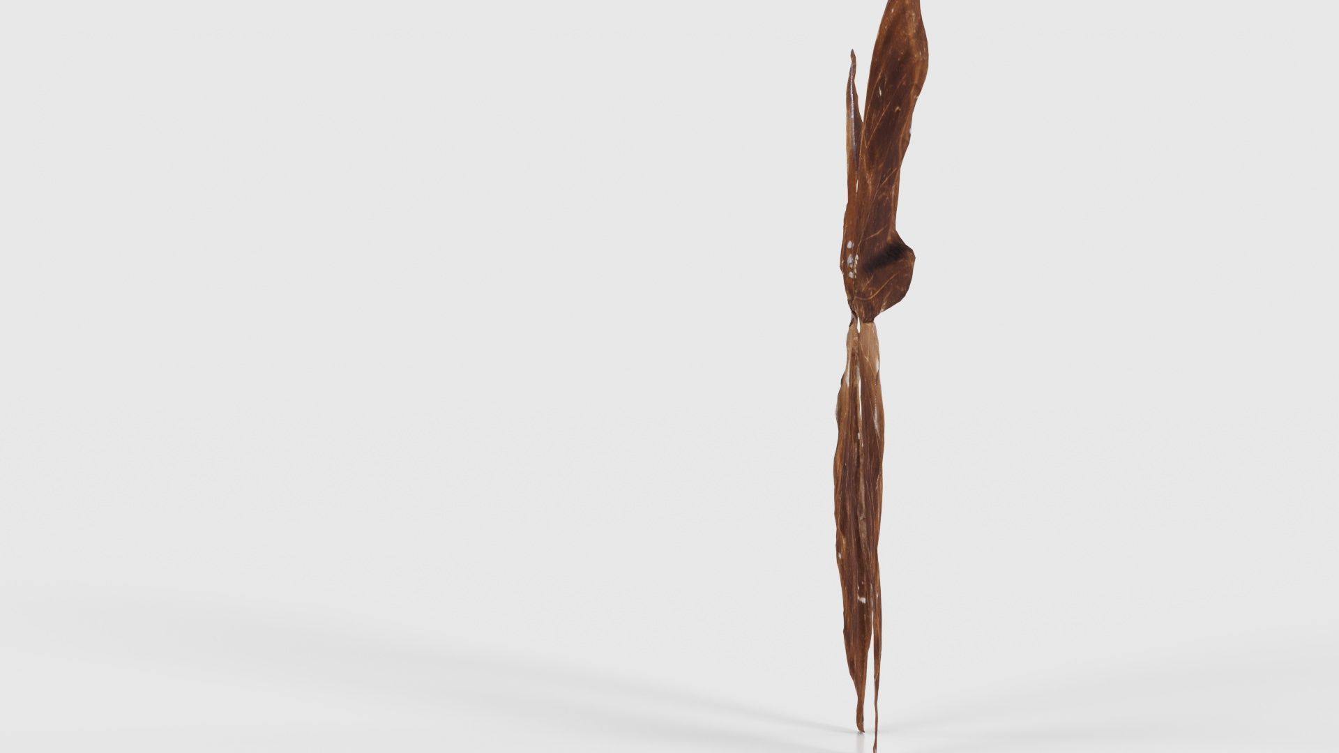 Common Rose Cethosia Biblis 3 Low-poly 3D model_24