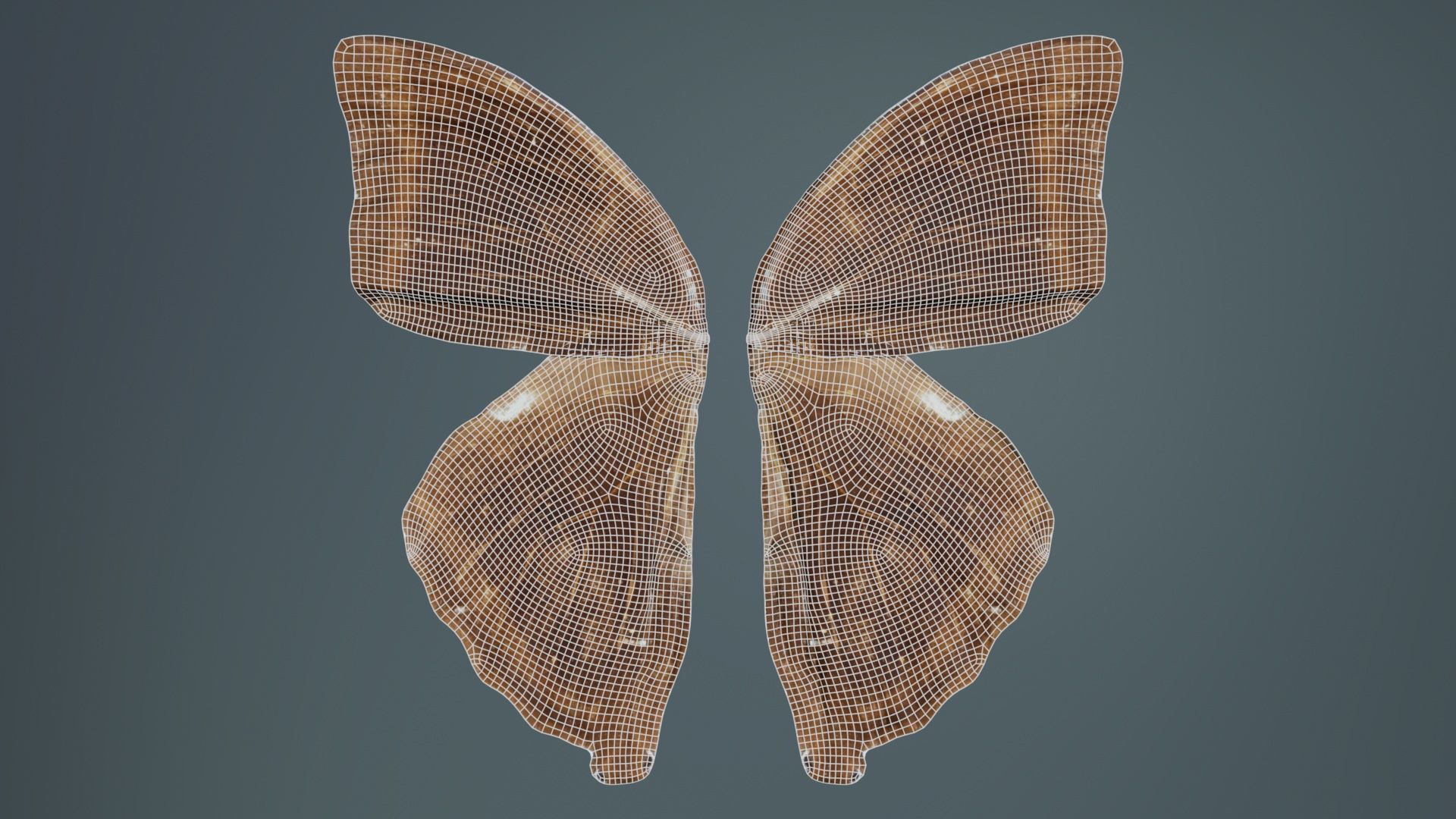 Common Rose Cethosia Biblis 3 Low-poly 3D model_9