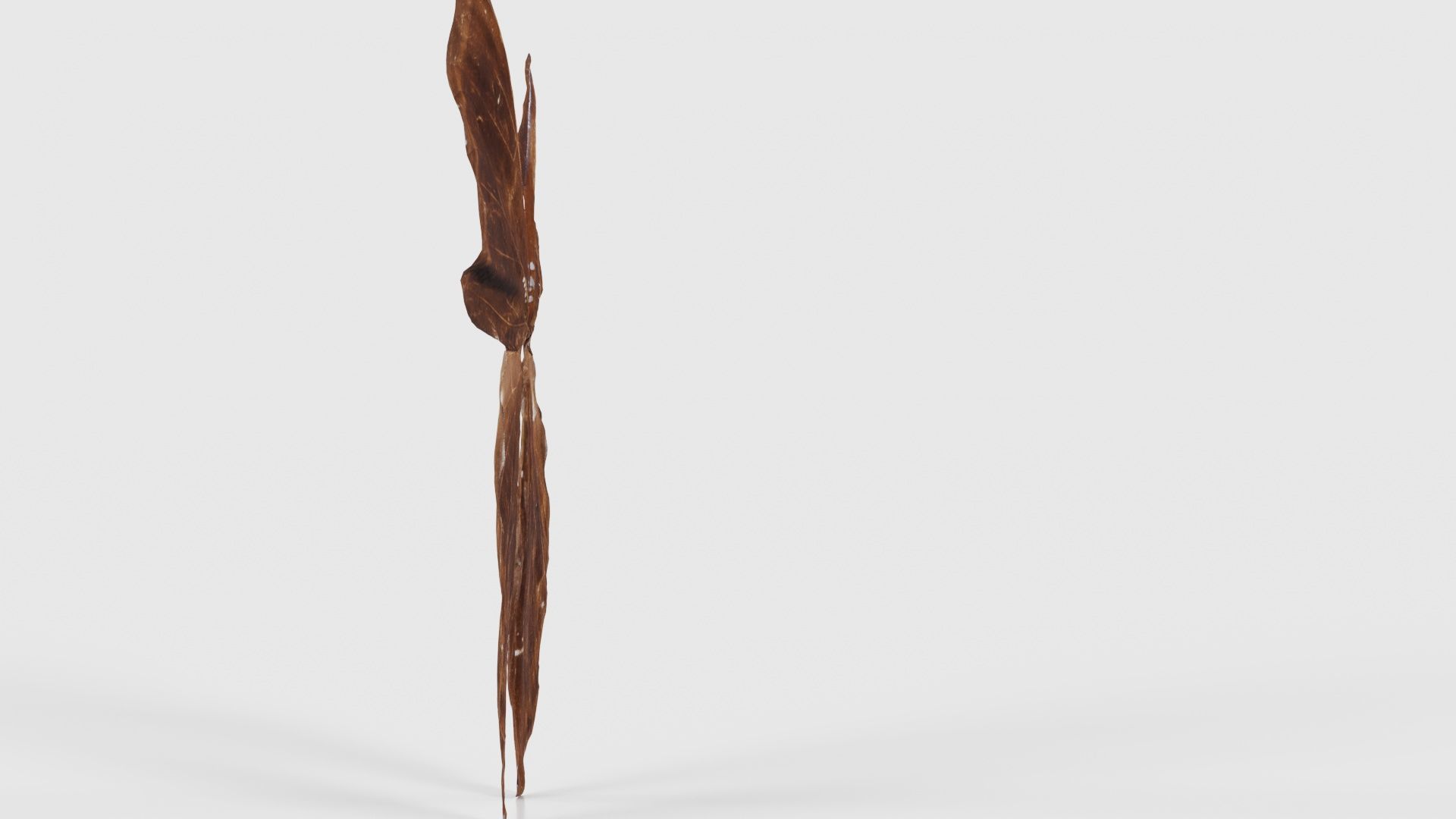 Common Rose Cethosia Biblis 3 Low-poly 3D model_18