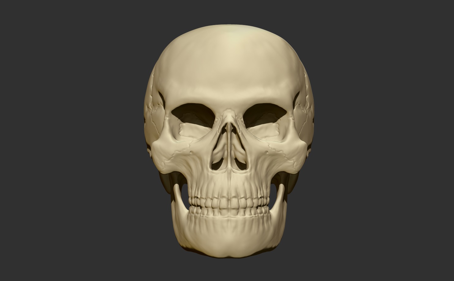 3D Printable Human Skull - Artistic and Decorative Masterpiece Free 3D print model_6