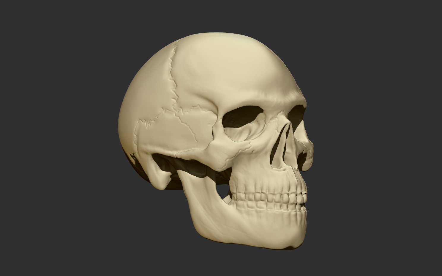 3D Printable Human Skull - Artistic and Decorative Masterpiece Free 3D print model_2