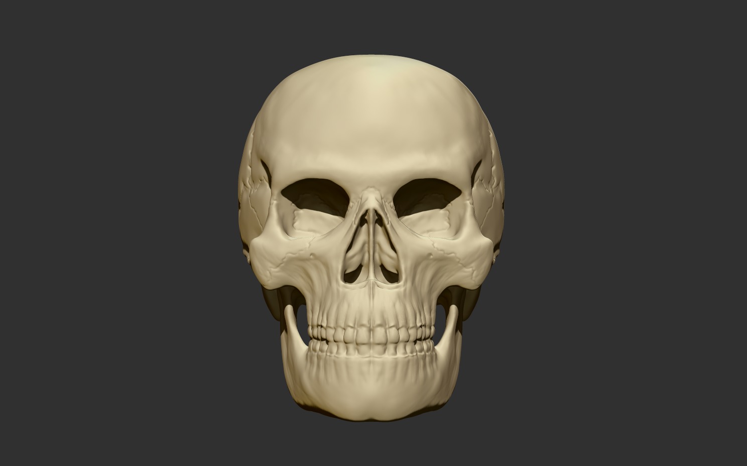 3D Printable Human Skull - Artistic and Decorative Masterpiece Free 3D print model_3