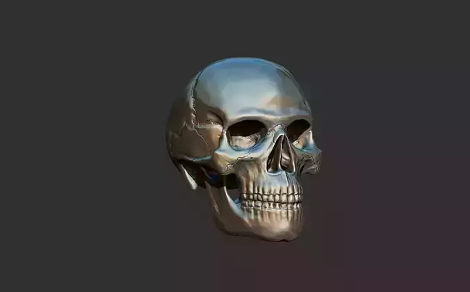 3D Printable Human Skull - Artistic and Decorative Masterpiece