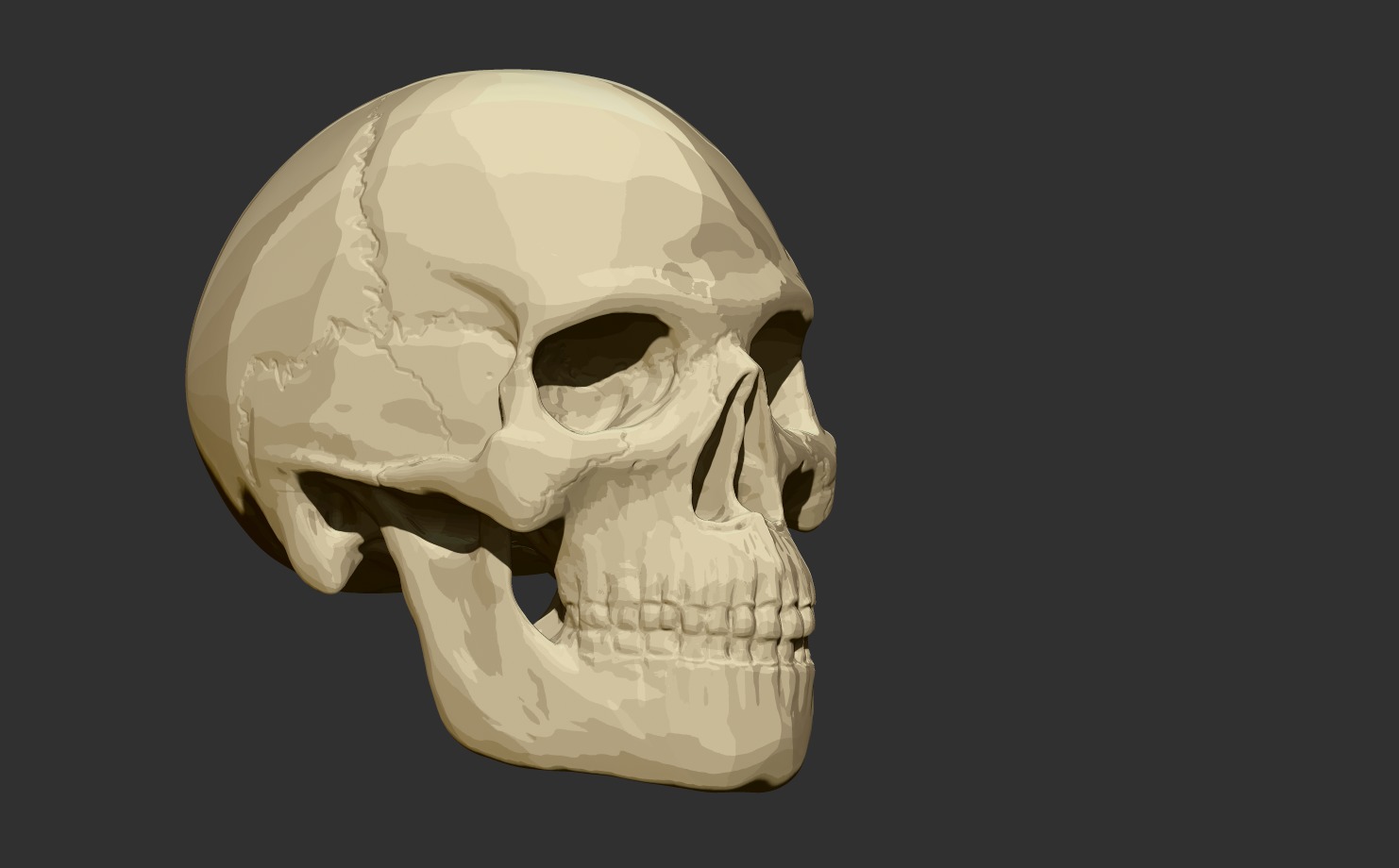 3D Printable Human Skull - Artistic and Decorative Masterpiece Free 3D print model_1