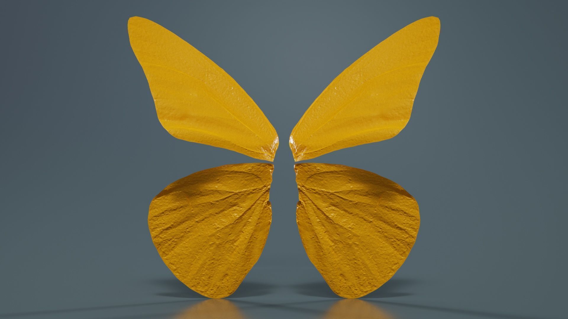 Orange Albatros Low-poly 3D model_12