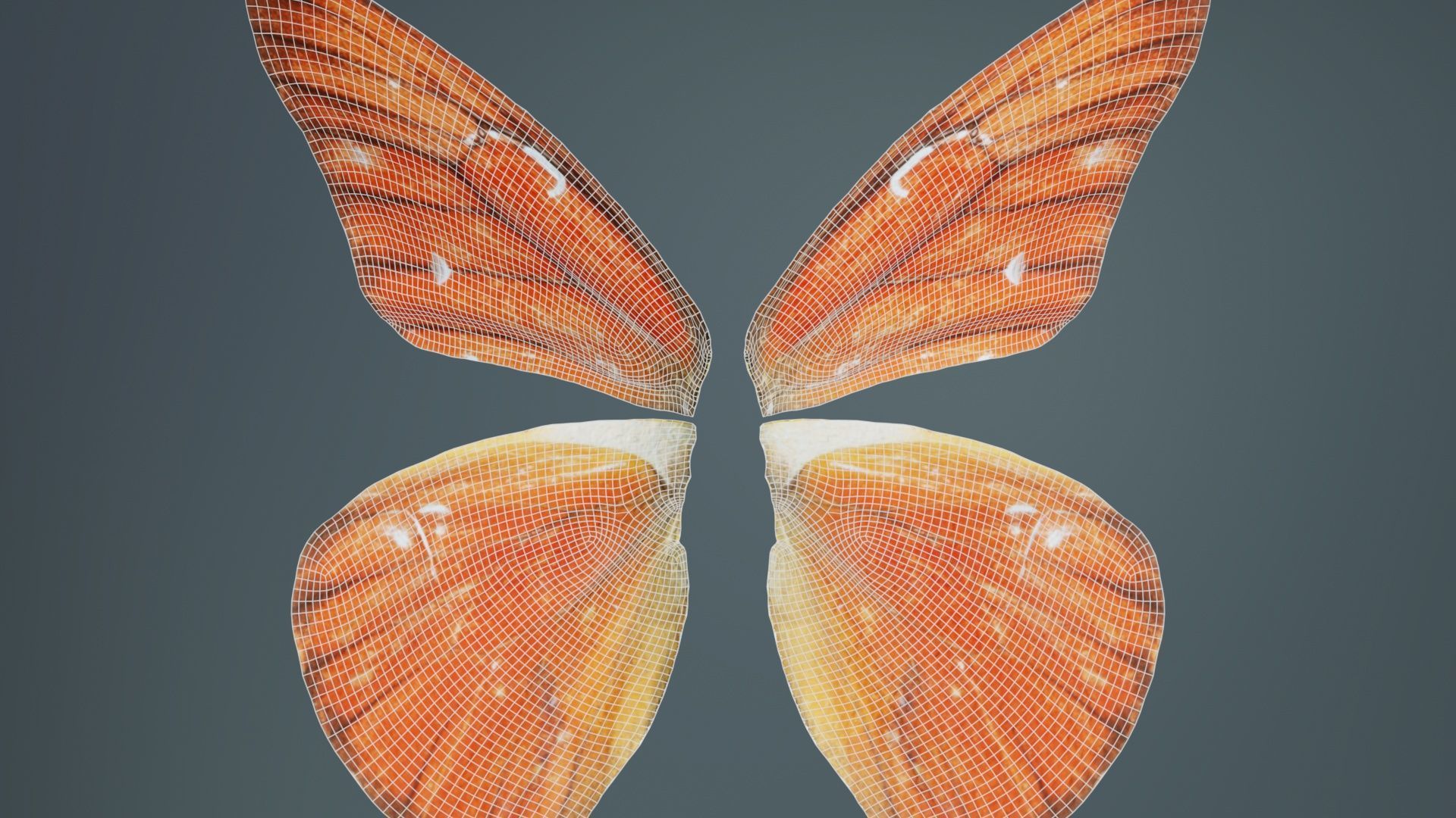 Orange Albatros Low-poly 3D model_10