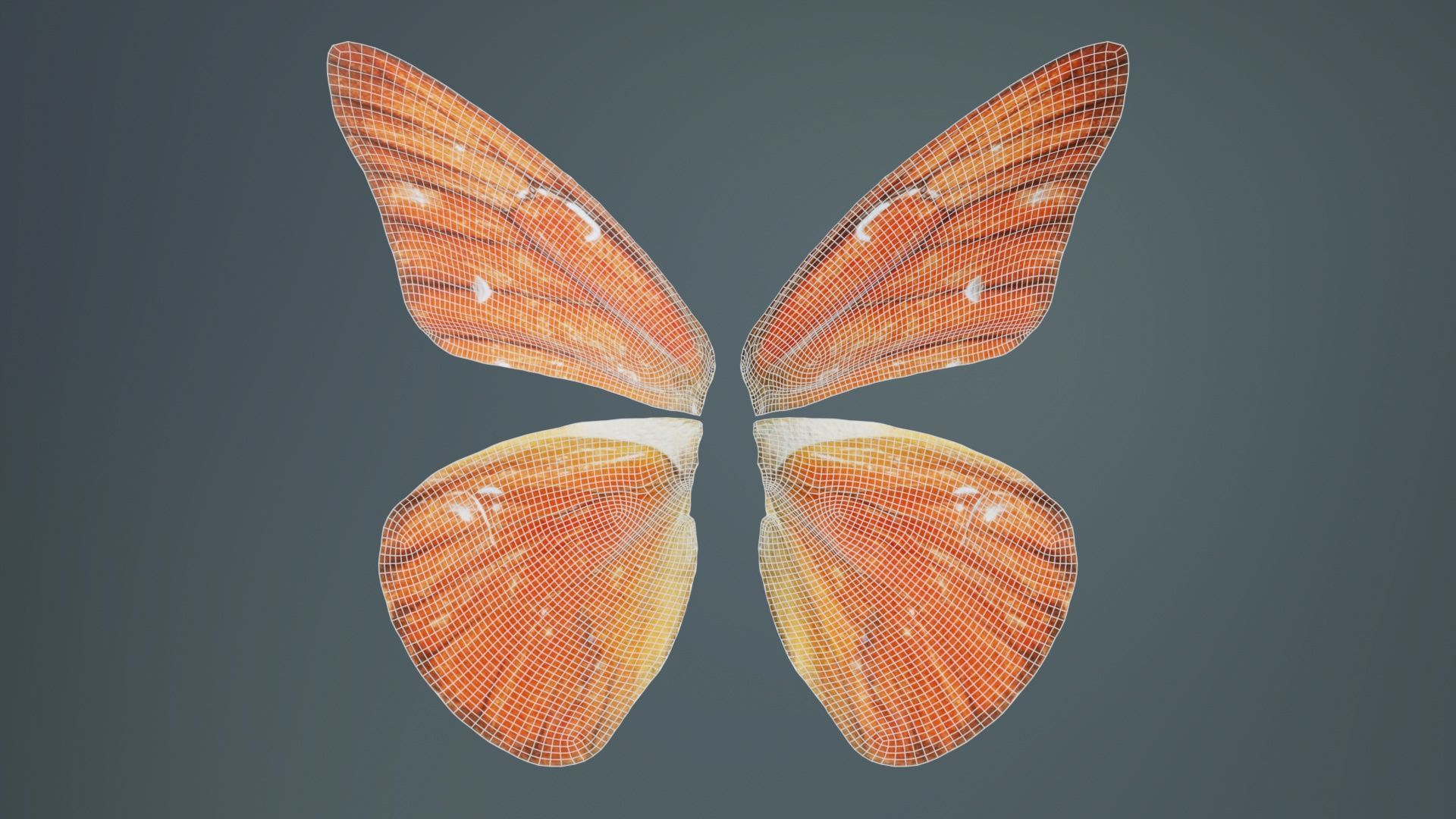 Orange Albatros Low-poly 3D model_9