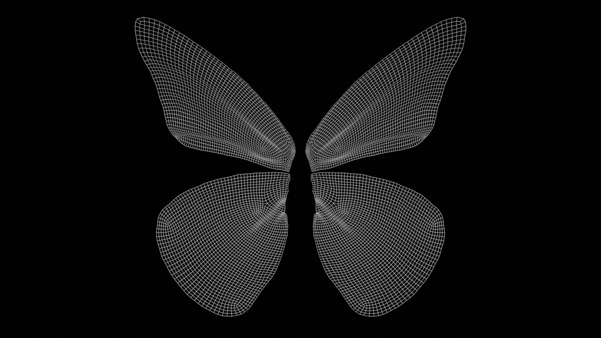 Orange Albatros Low-poly 3D model_11