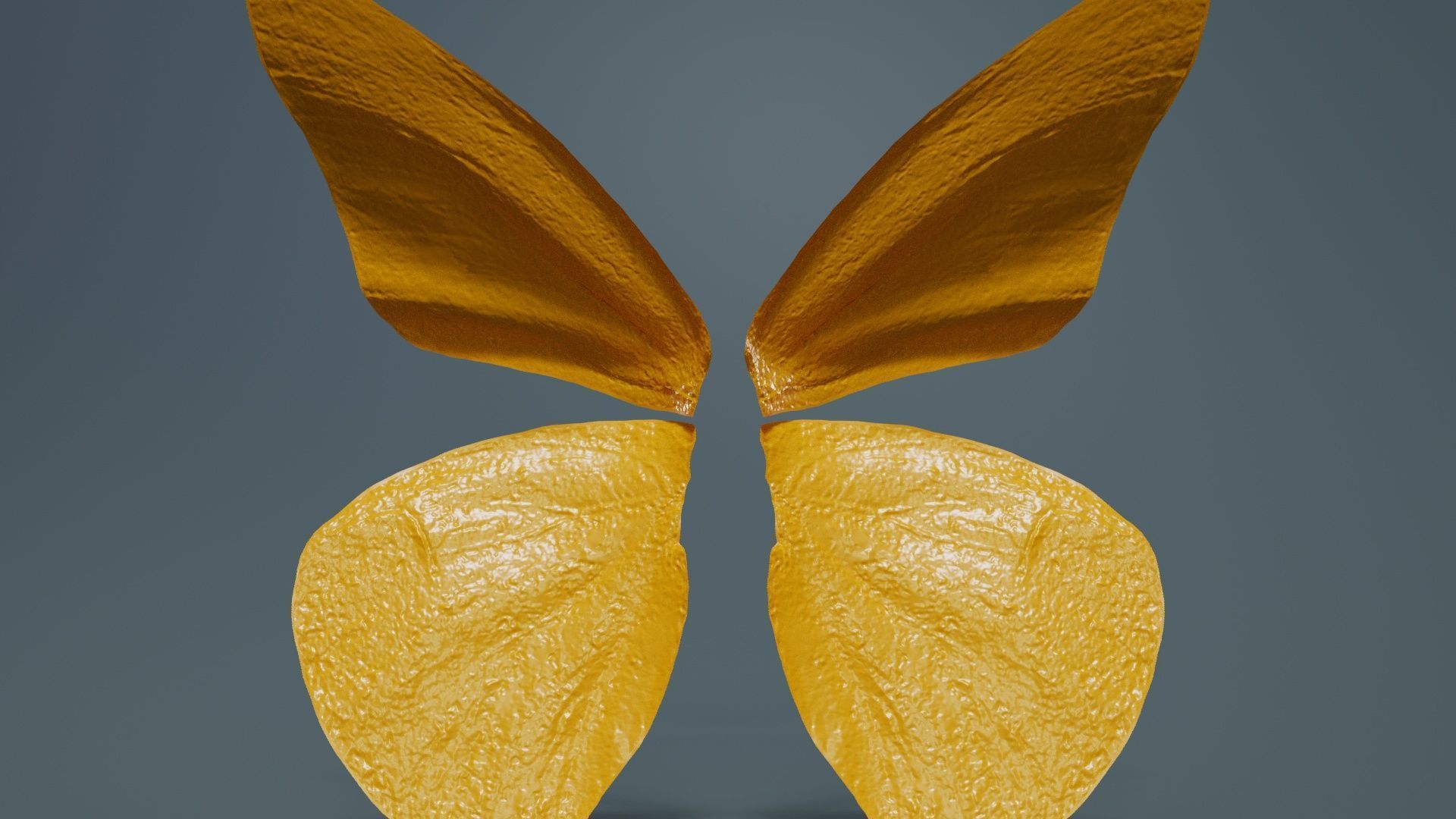 Orange Albatros Low-poly 3D model_13