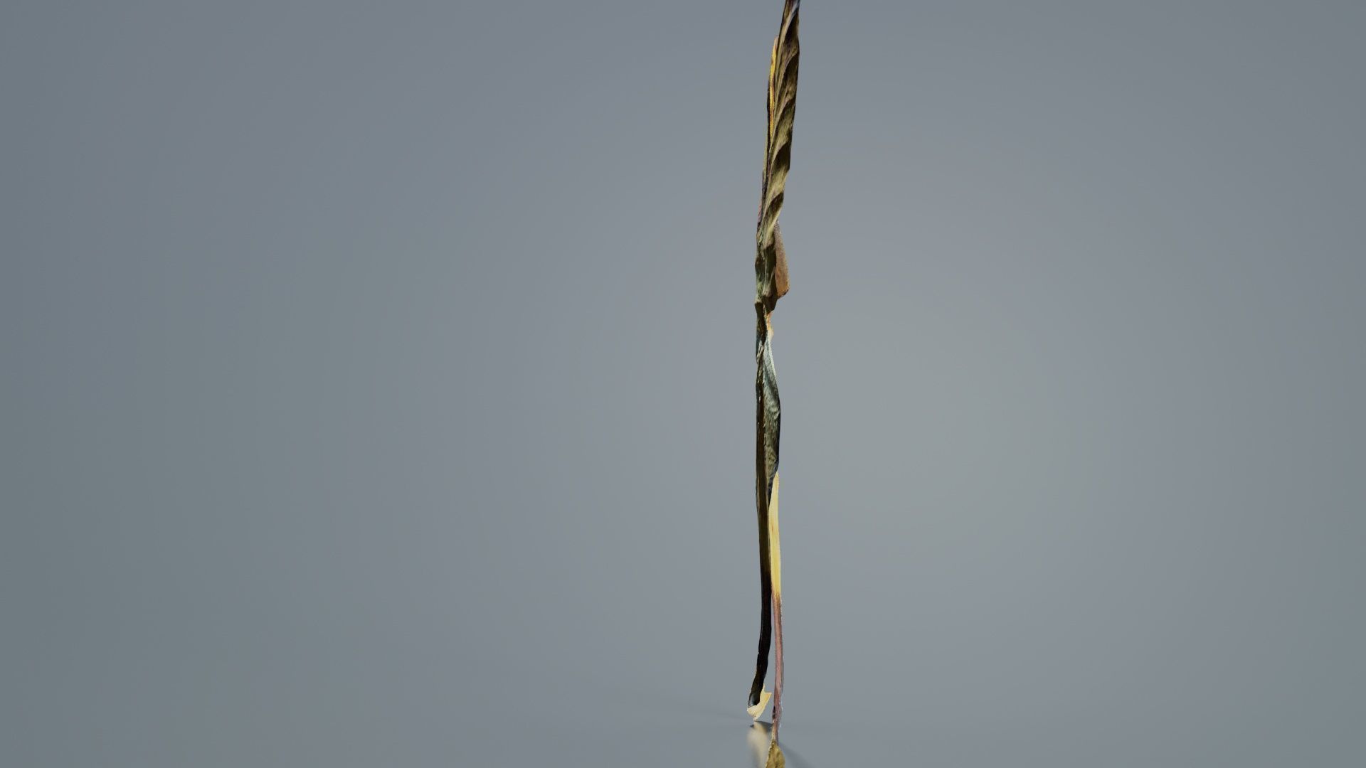 Owlet Moth Noctuoidea 2 Low-poly 3D model_5