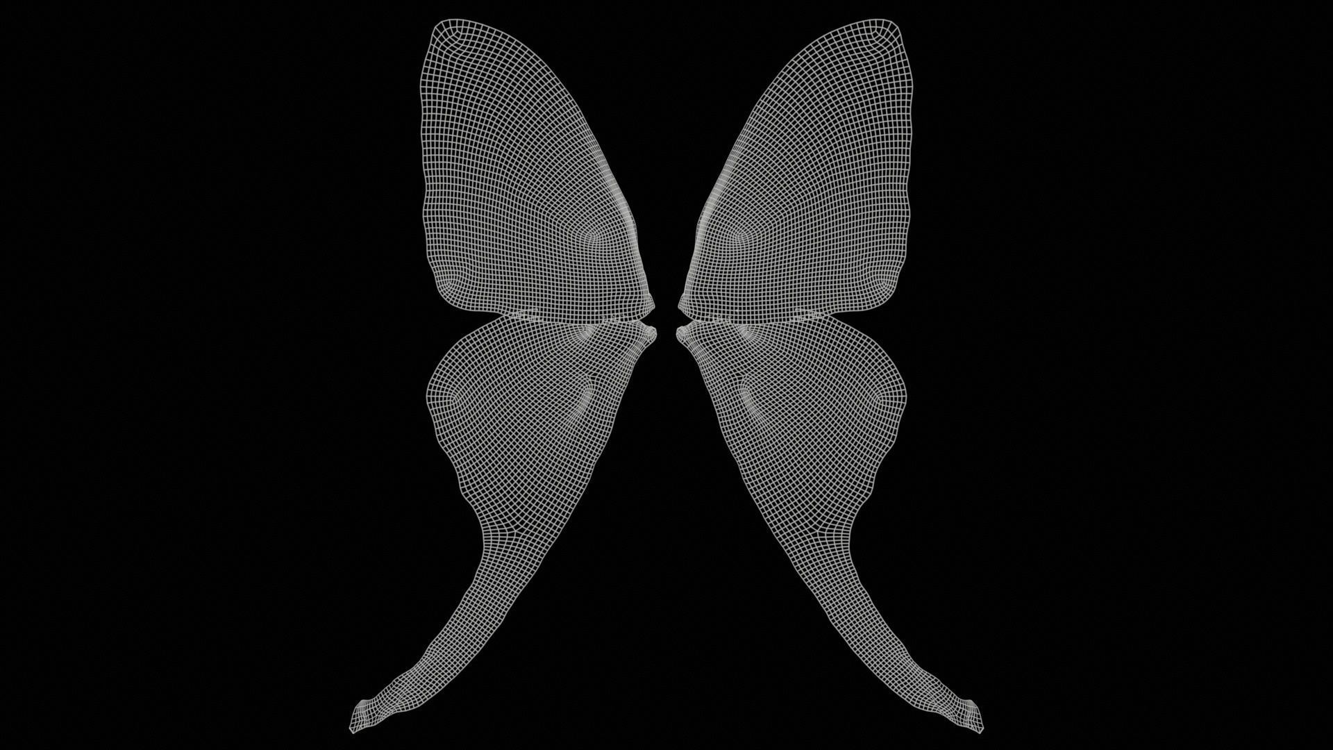 Owlet Moth Noctuoidea 2 Low-poly 3D model_11