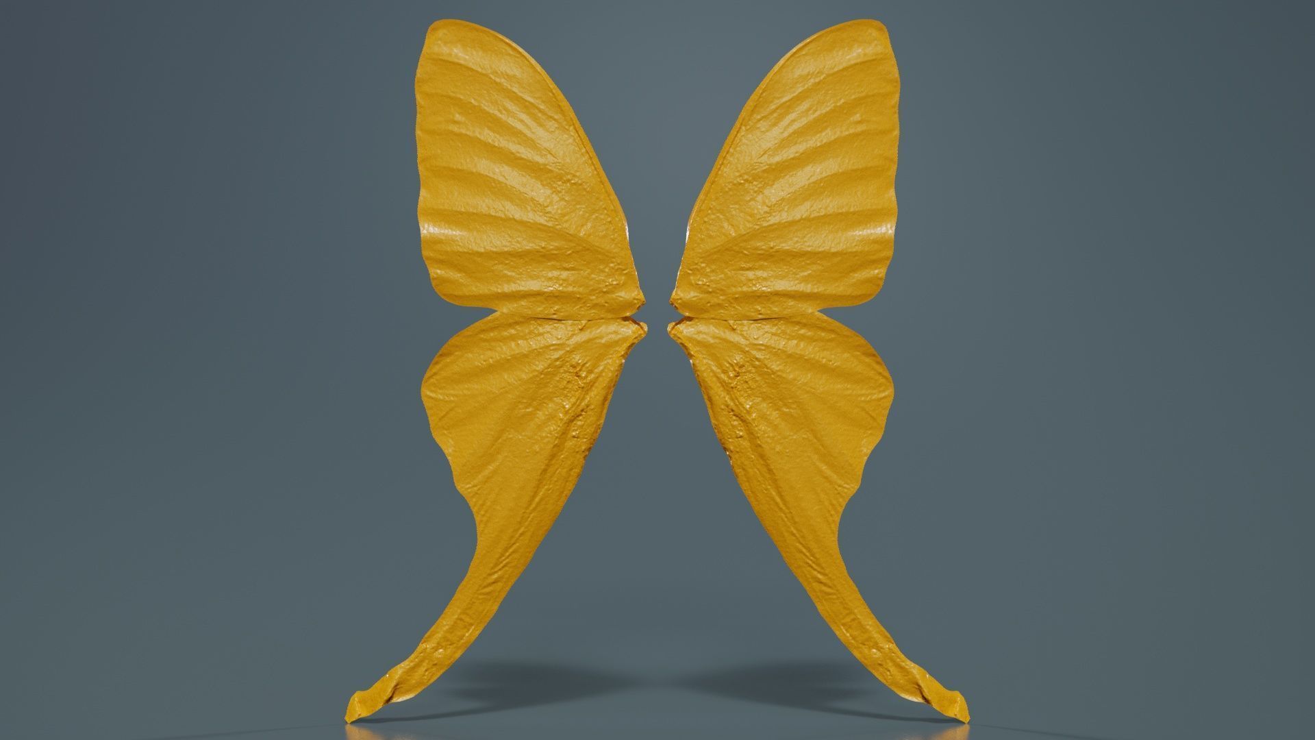 Owlet Moth Noctuoidea 2 Low-poly 3D model_12