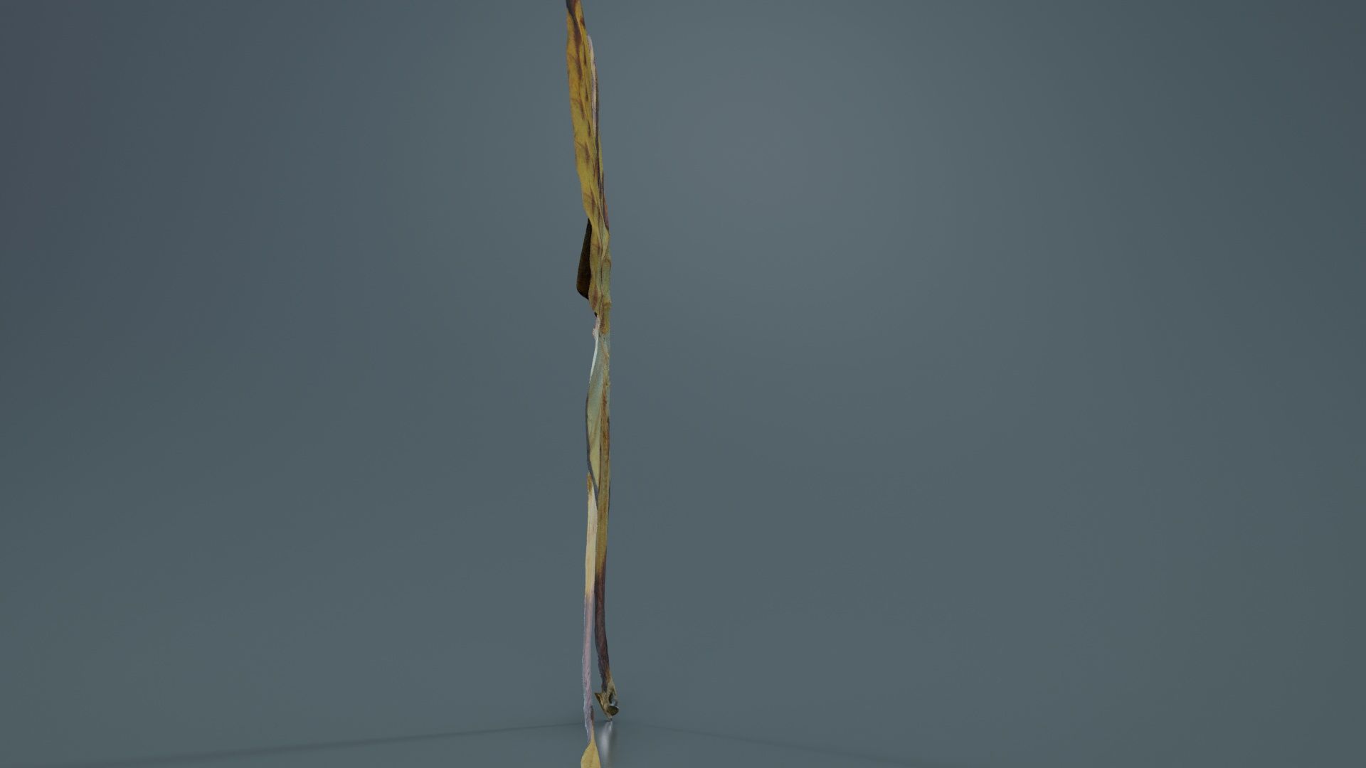 Owlet Moth Noctuoidea 2 Low-poly 3D model_6