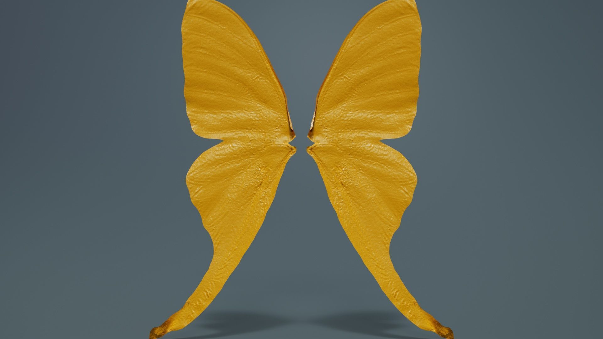 Owlet Moth Noctuoidea 2 Low-poly 3D model_13