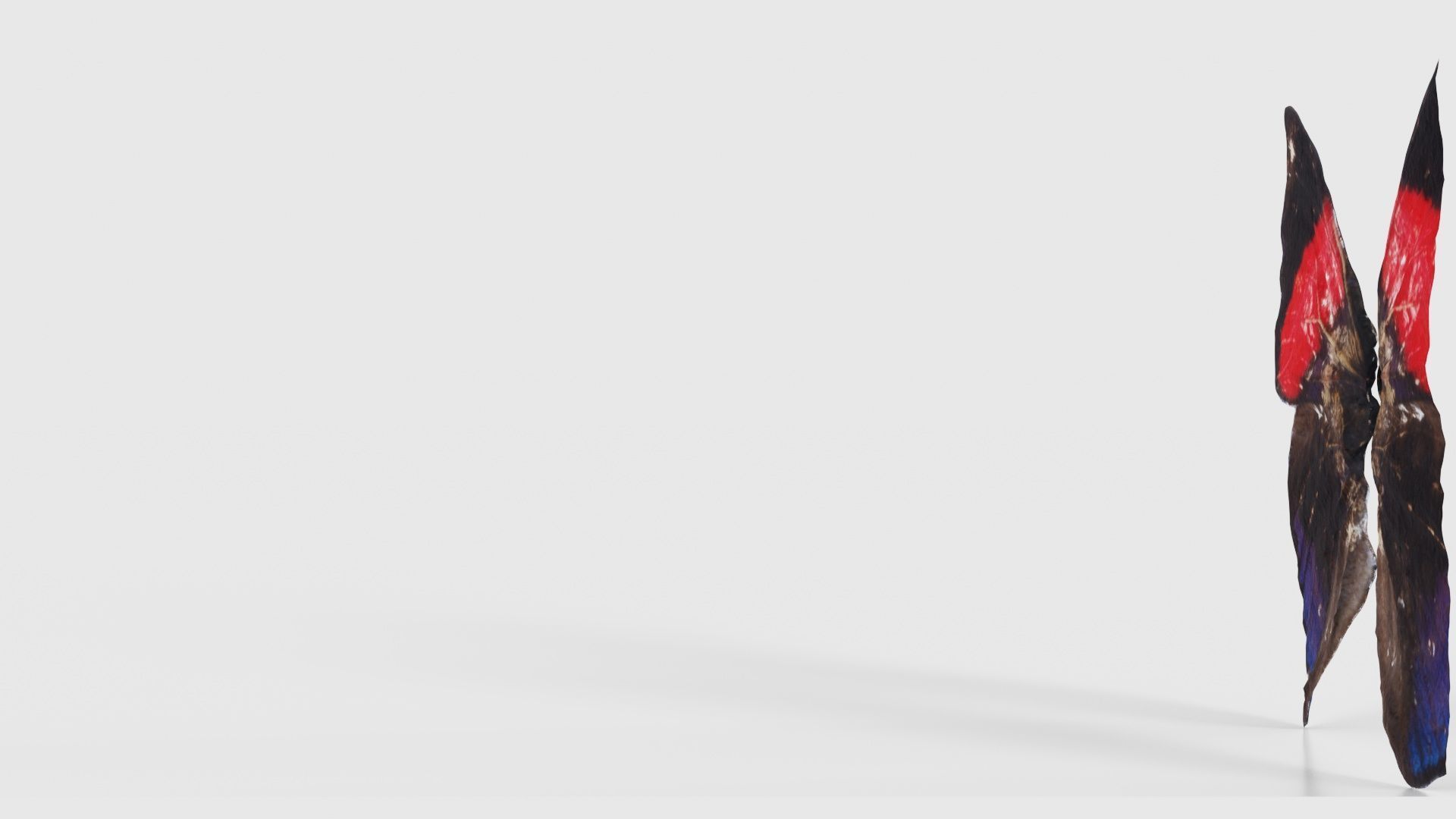 Red Lacewing Cethosia Cyane Low-poly 3D model_24