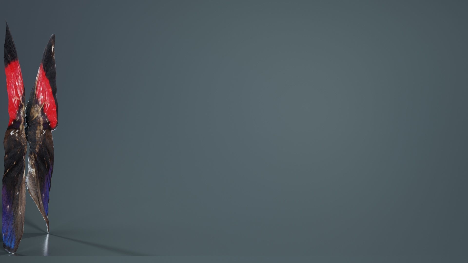 Red Lacewing Cethosia Cyane Low-poly 3D model_5