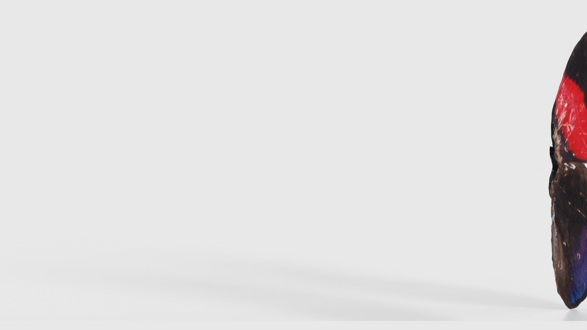 Red Lacewing Cethosia Cyane Low-poly 3D model_23