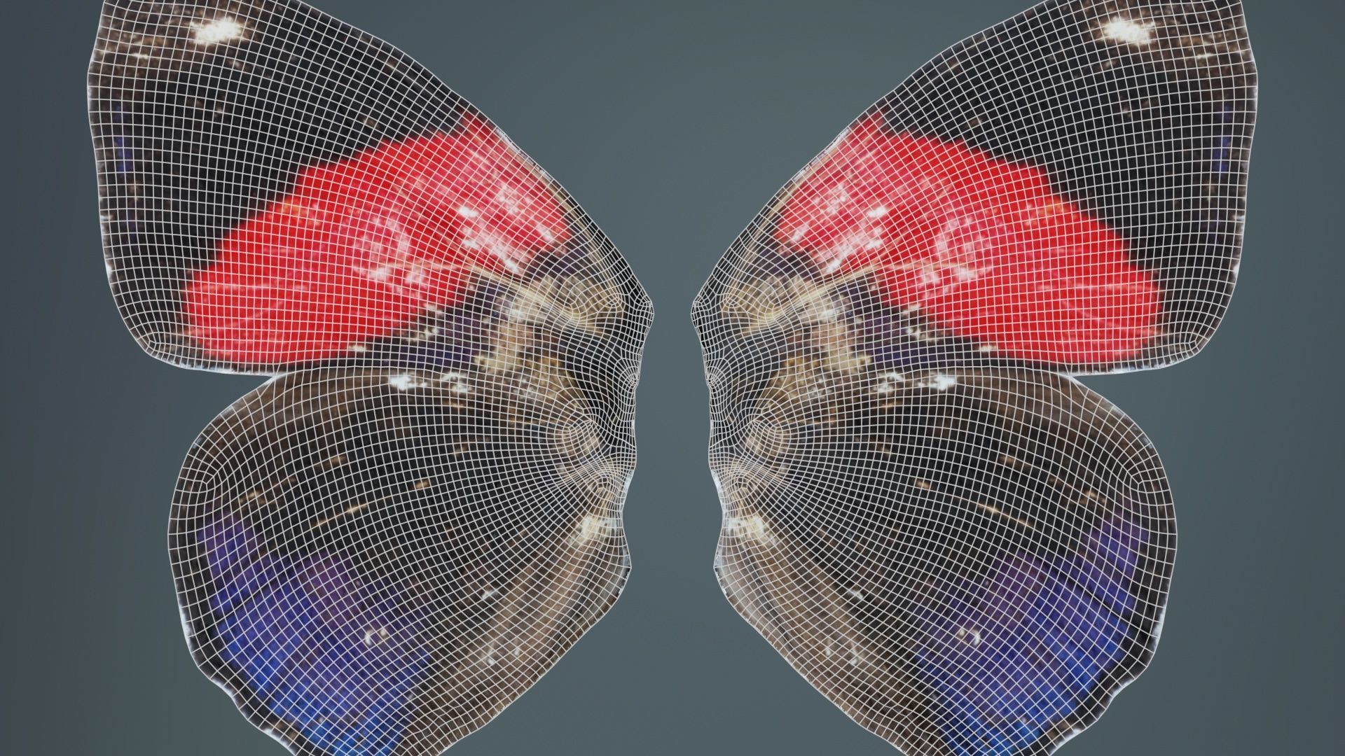 Red Lacewing Cethosia Cyane Low-poly 3D model_10