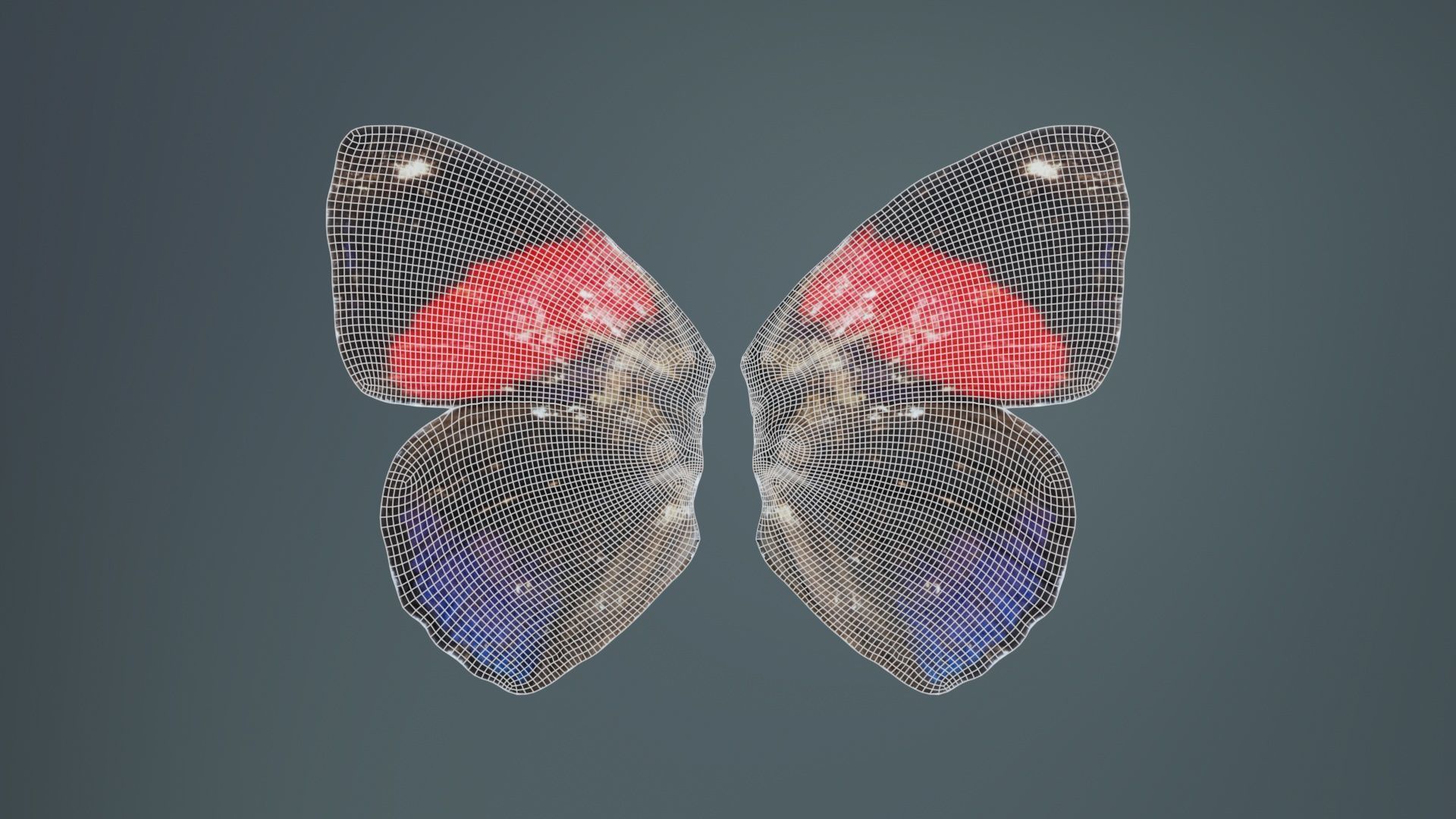 Red Lacewing Cethosia Cyane Low-poly 3D model_9