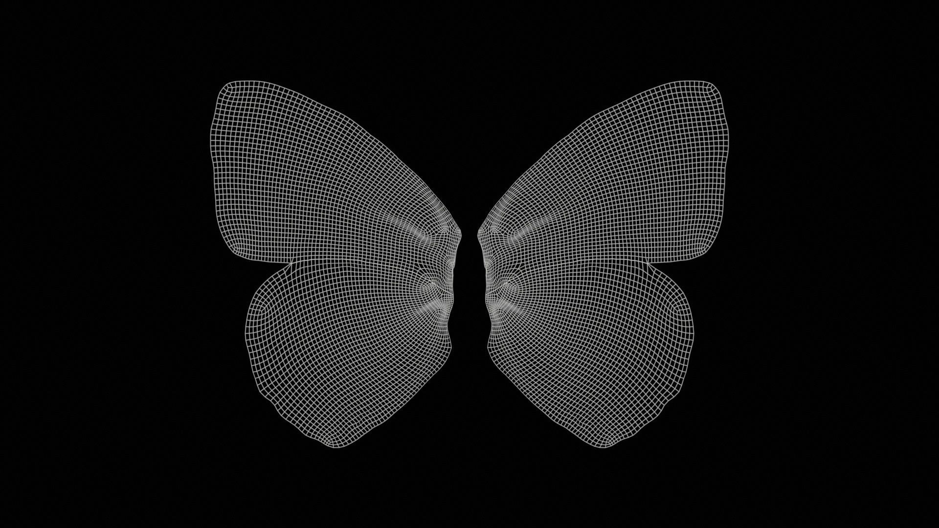 Red Lacewing Cethosia Cyane Low-poly 3D model_11