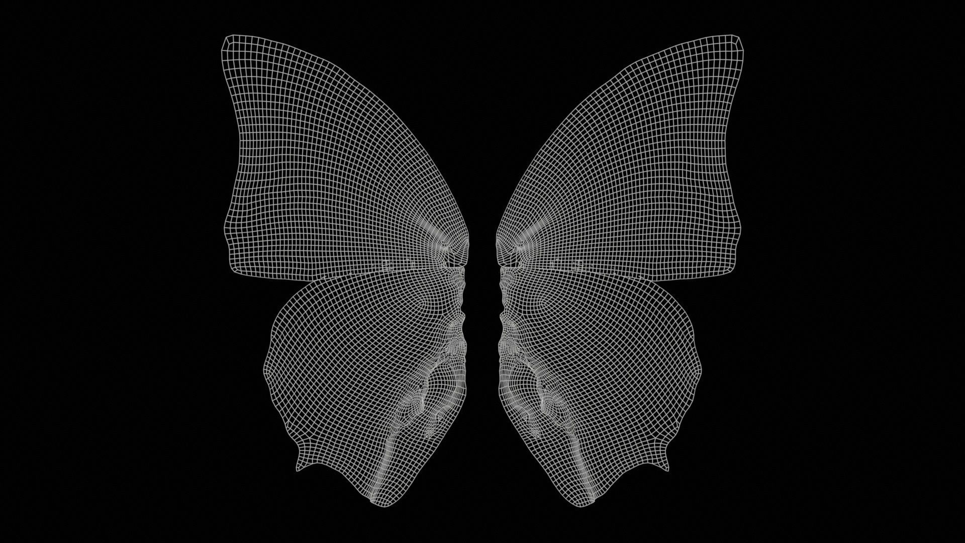 Tawny Rajah Charaxes Bernardus Low-poly 3D model_11