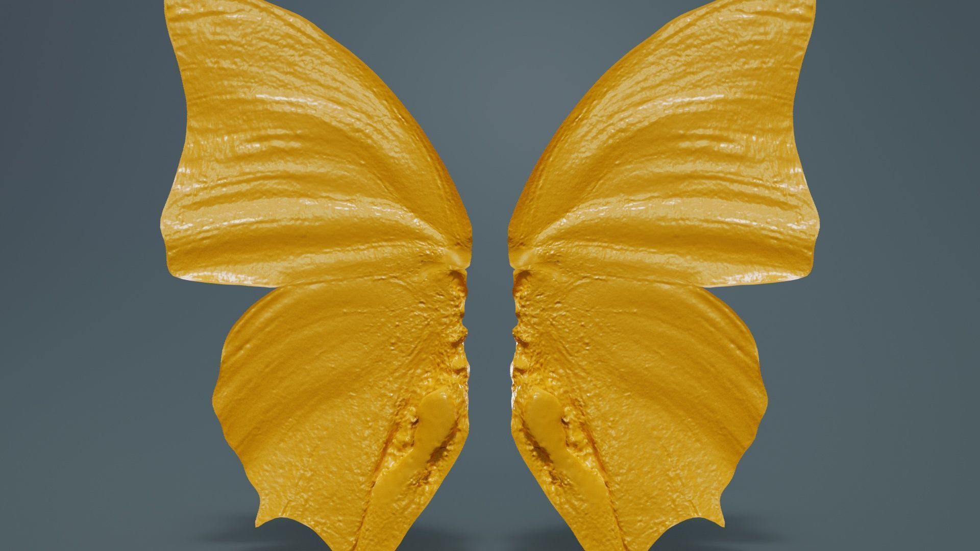 Tawny Rajah Charaxes Bernardus Low-poly 3D model_13